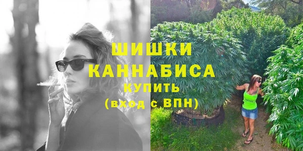 сатива Белоозёрский