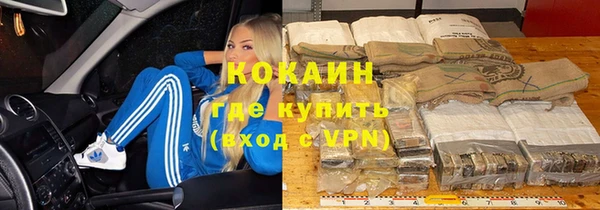 сатива Белоозёрский