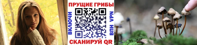 где продают   мега ссылка  Псилоцибиновые грибы мухоморы  Сегежа 